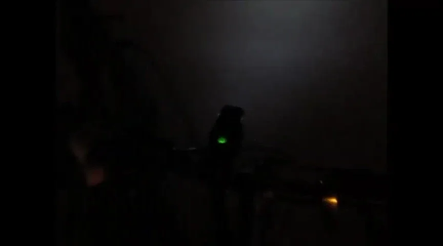 Night-time visibility demonstration