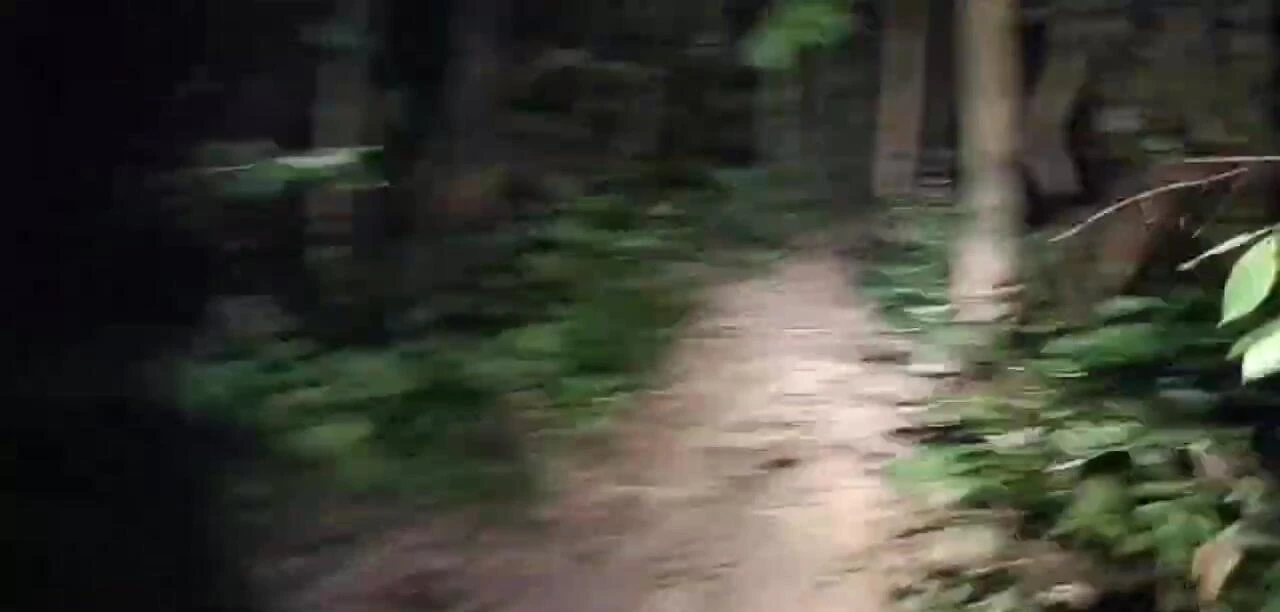 Convoy M3 on a single track trail