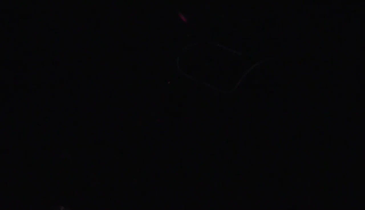 A shot of the lights being demonstrated outdoors
