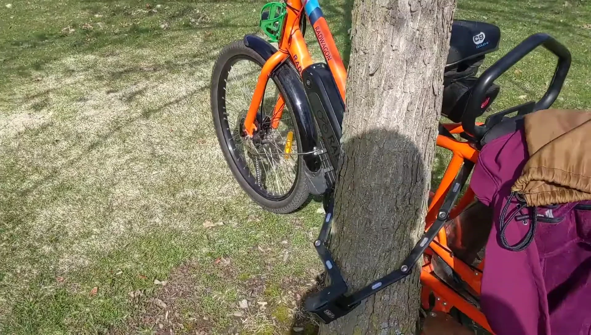 The lock securing a bike to a tree