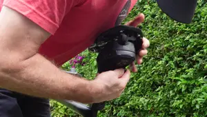 Silca Matone Seat Pack Review: The Best Saddle Bag for Cycling?