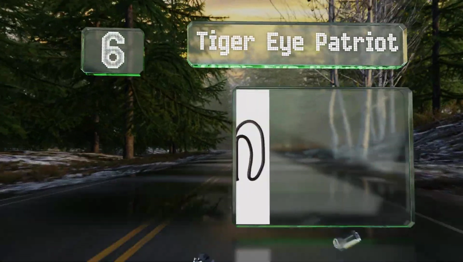 The Tiger Eye Patriot mirror showcasing its graphic design.