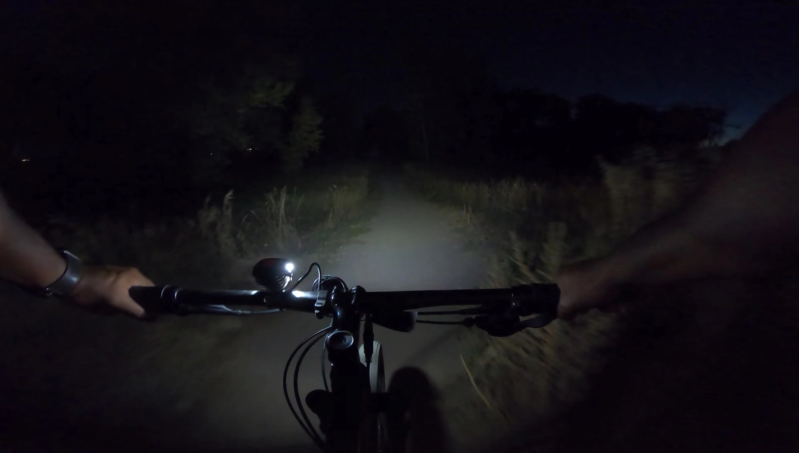 Riding in a dark wooded area