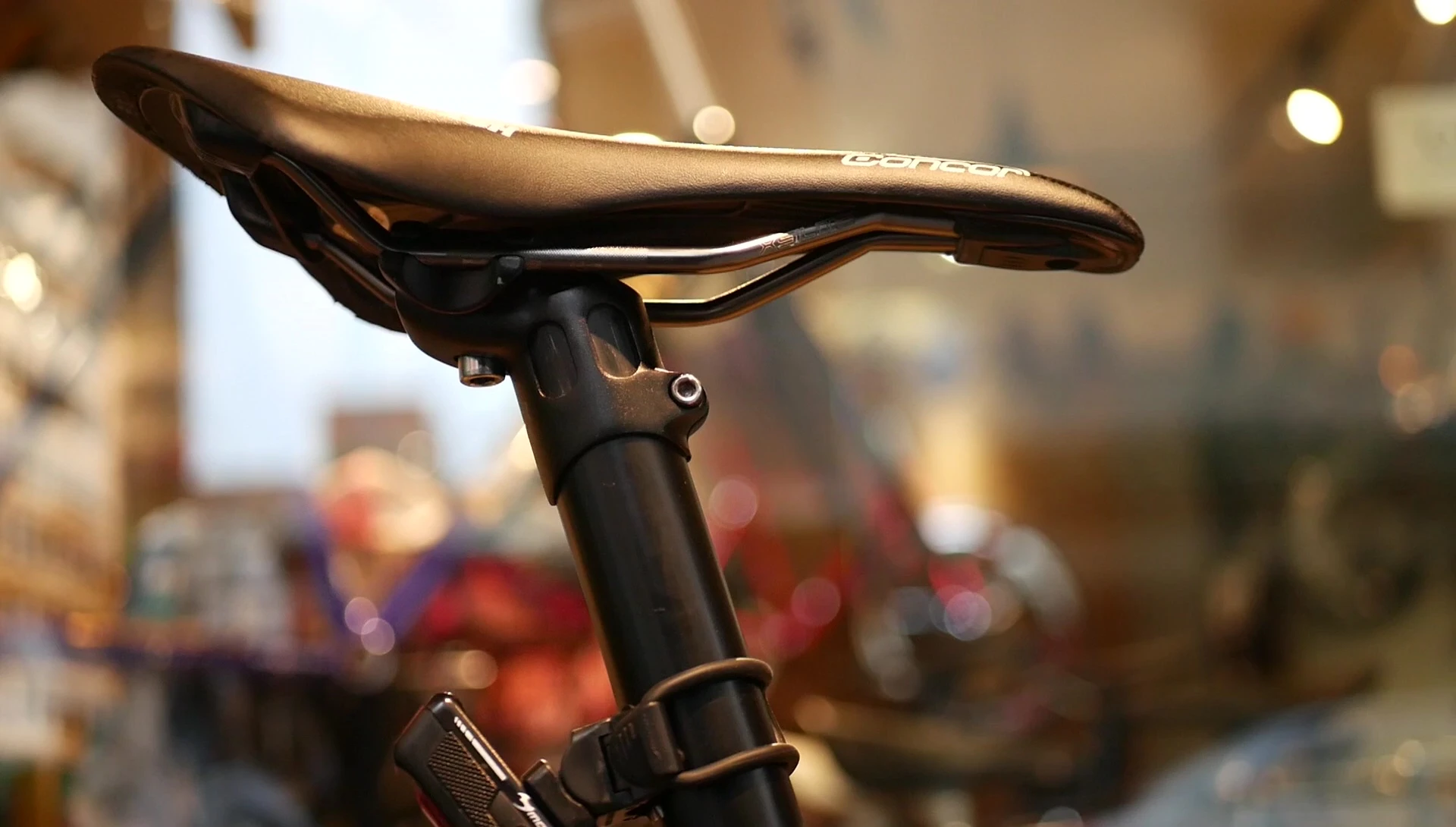 Close-up of a saddle nose