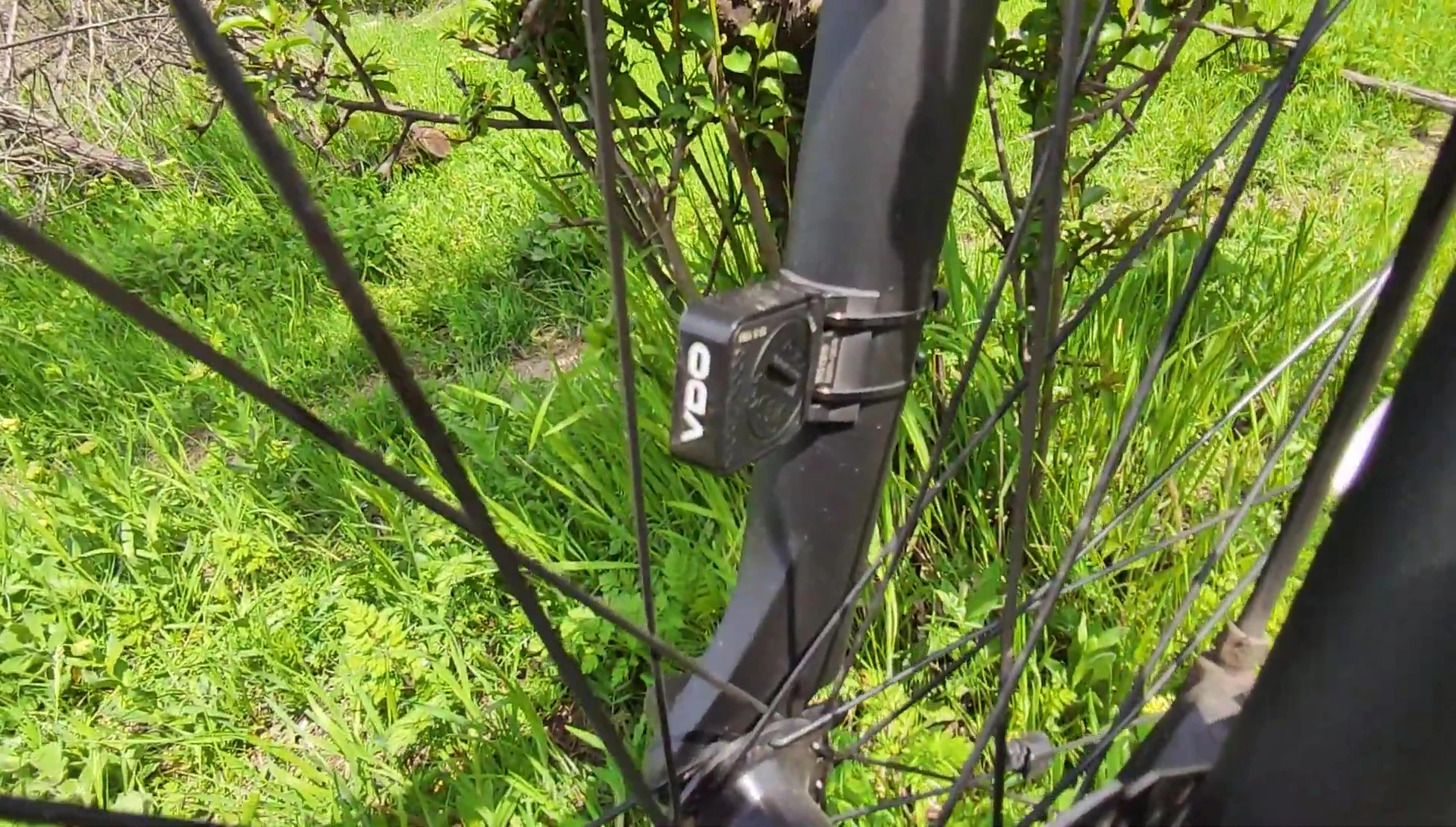 View of the battery compartment