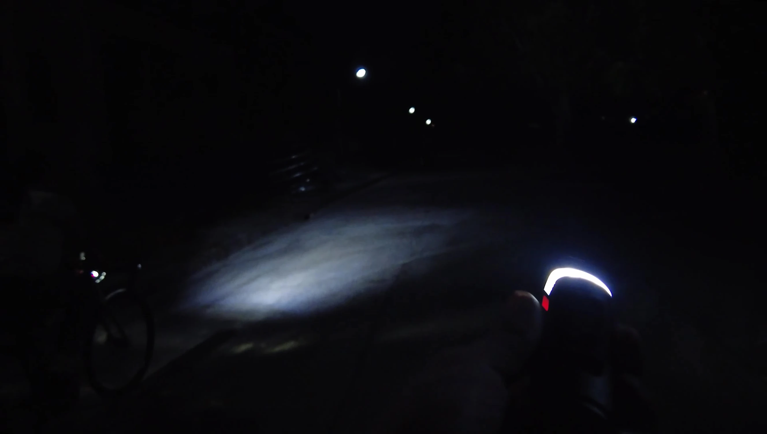 The light illuminating the trees and surroundings at night.