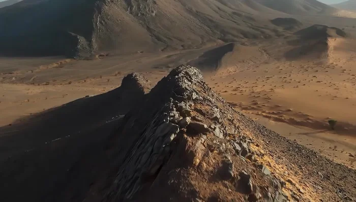 Transmission Comparison: Both offer six-speed manual and Honda's Dual Clutch Transmission (DCT). DCT is especially popular on the NT1100, providing seamless shifts. DCT is advantageous off-road on the Africa Twin.