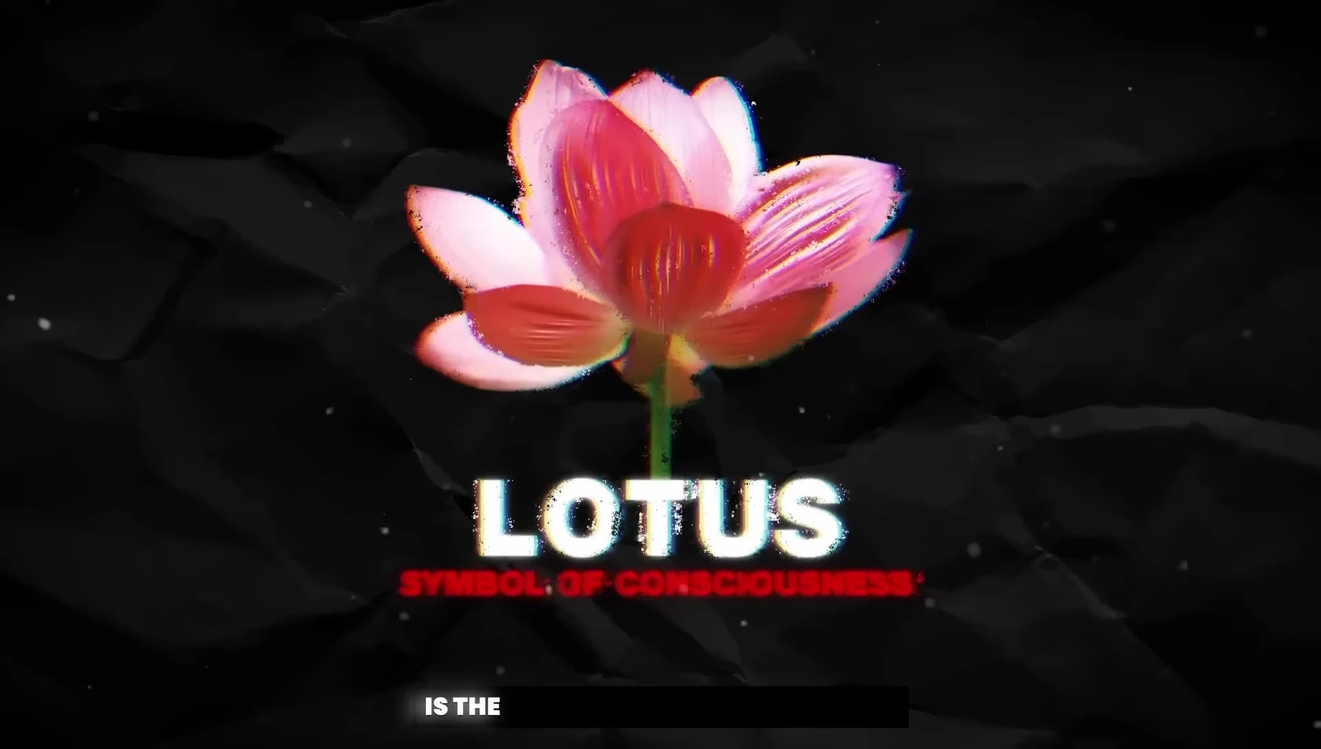 Image of a Lotus flower as a symbol of consciousness