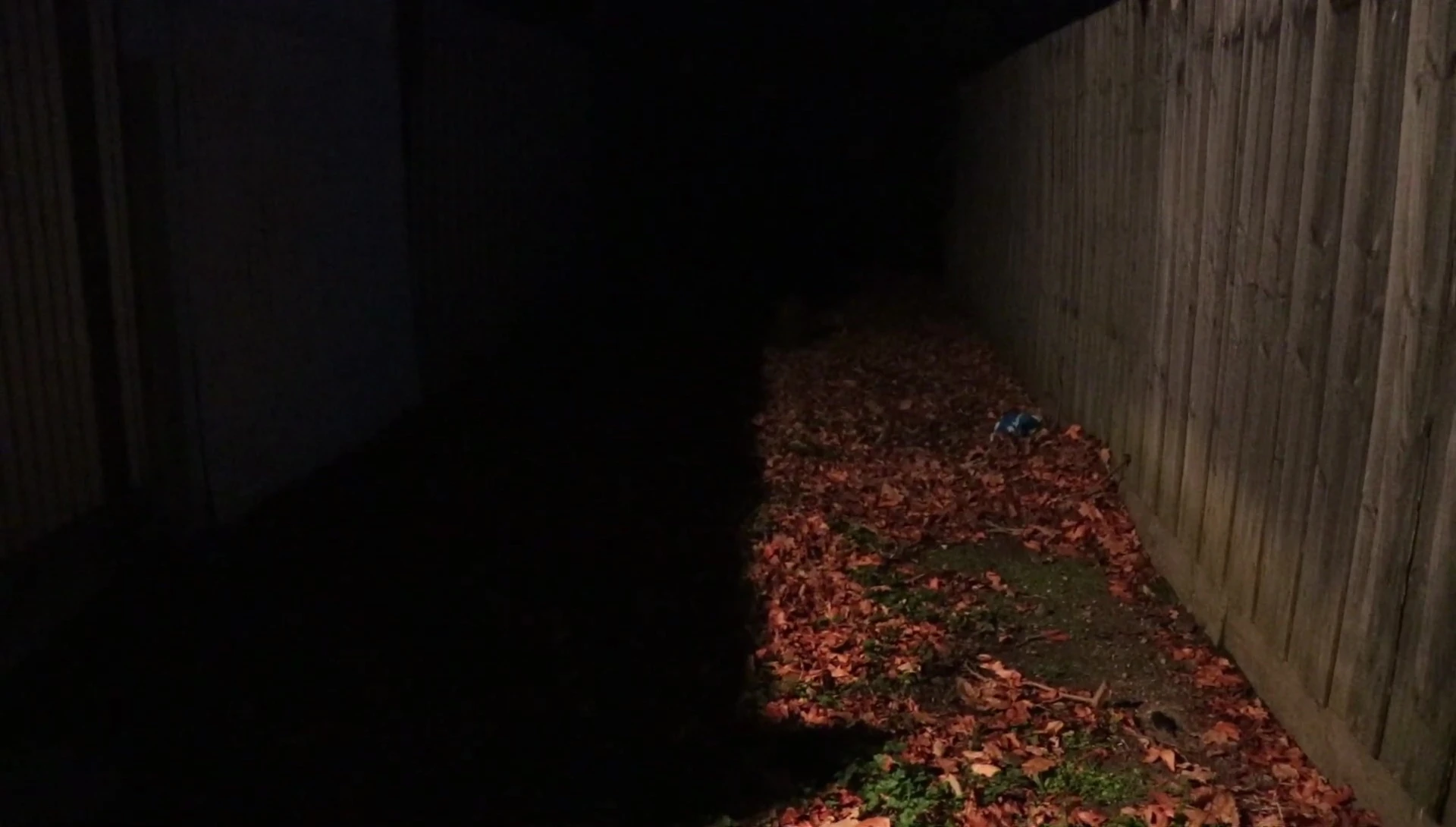 The Cat Eye light in use