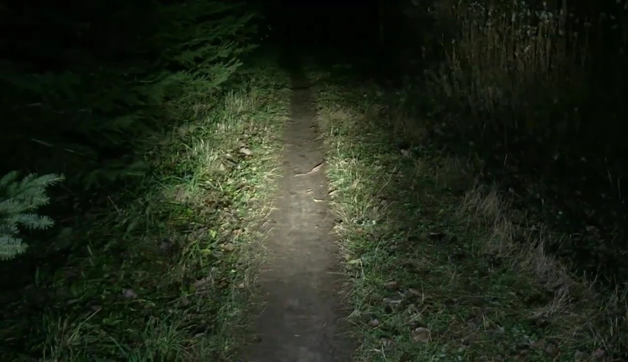 The lights mounted on the helmet and handlebars during a night ride
