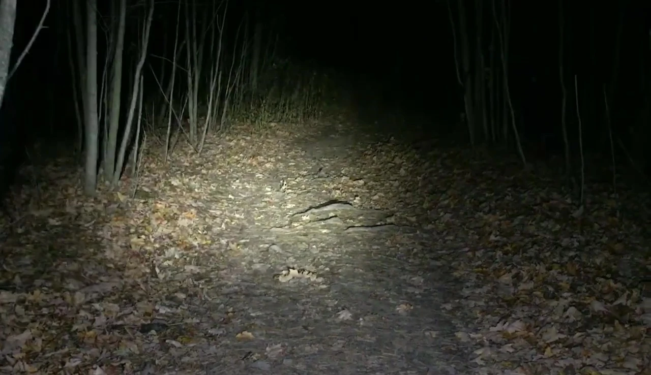 Both lights on during a night ride