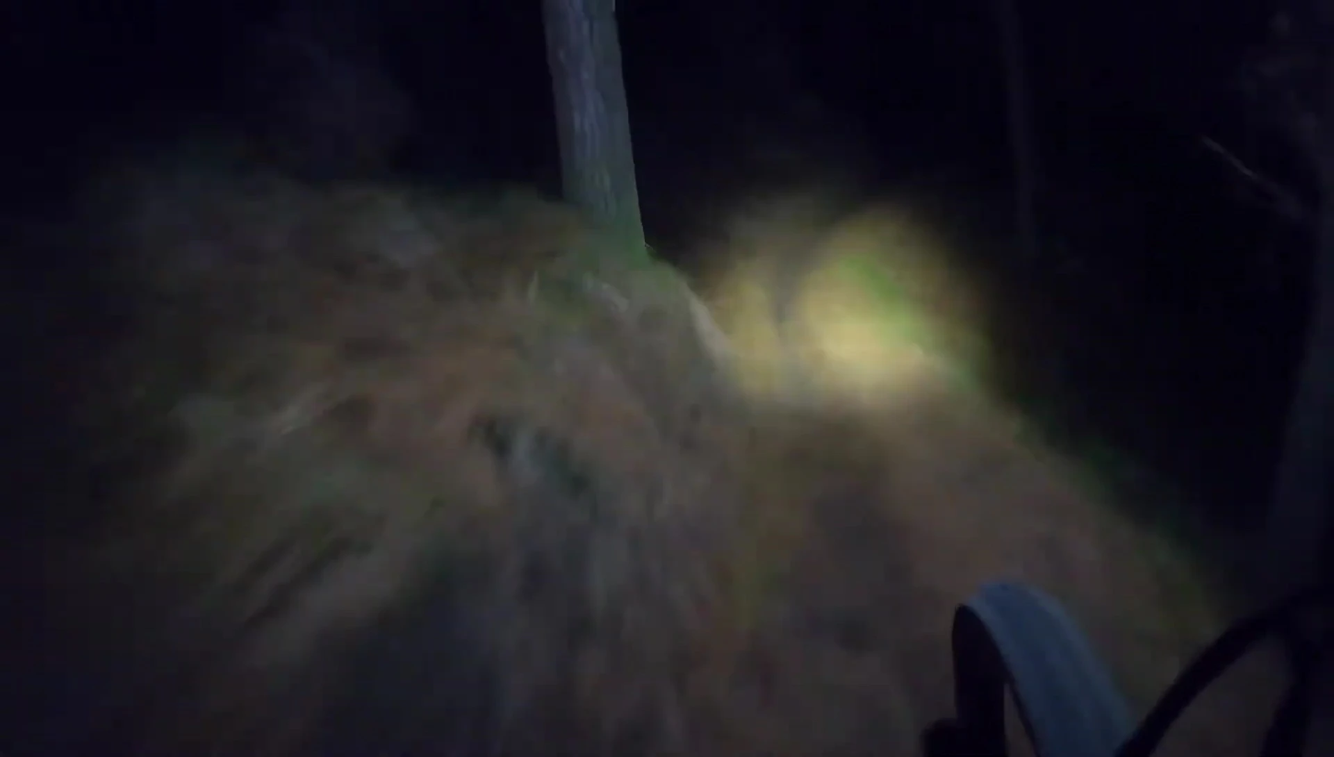 The light illuminating the trail ahead.