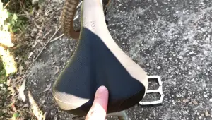 WTB Volt Saddle Review: Comfort, Performance, and Value