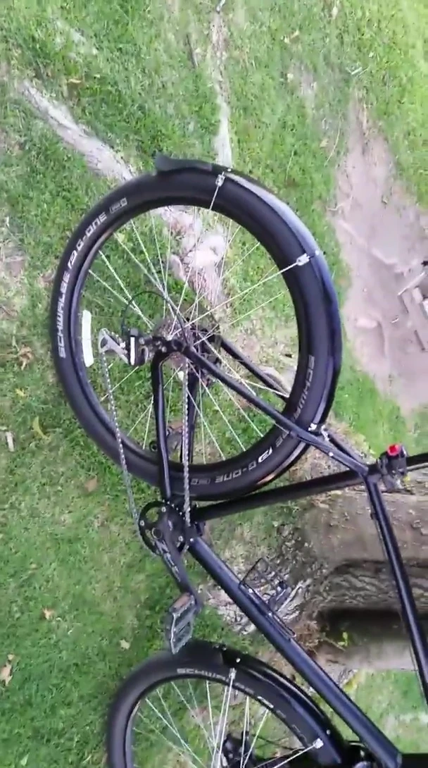 Close-up of the Schwalbe BG One tires.