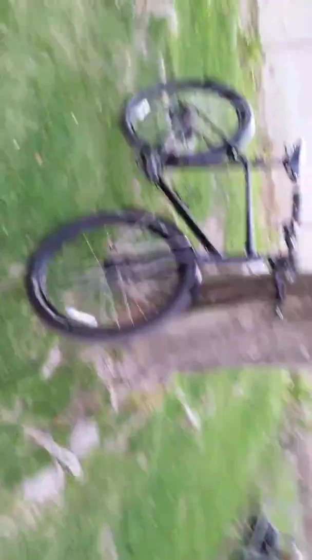 Overall view of the bike showing the FSA swept handlebars and XLC riser stem.