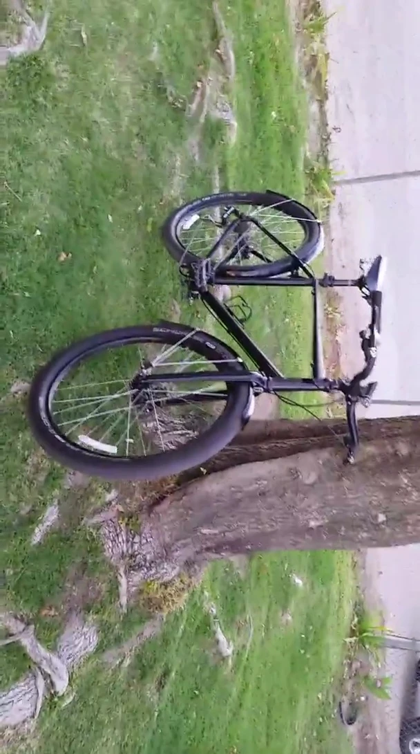 Close-up of the XLC riser stem.