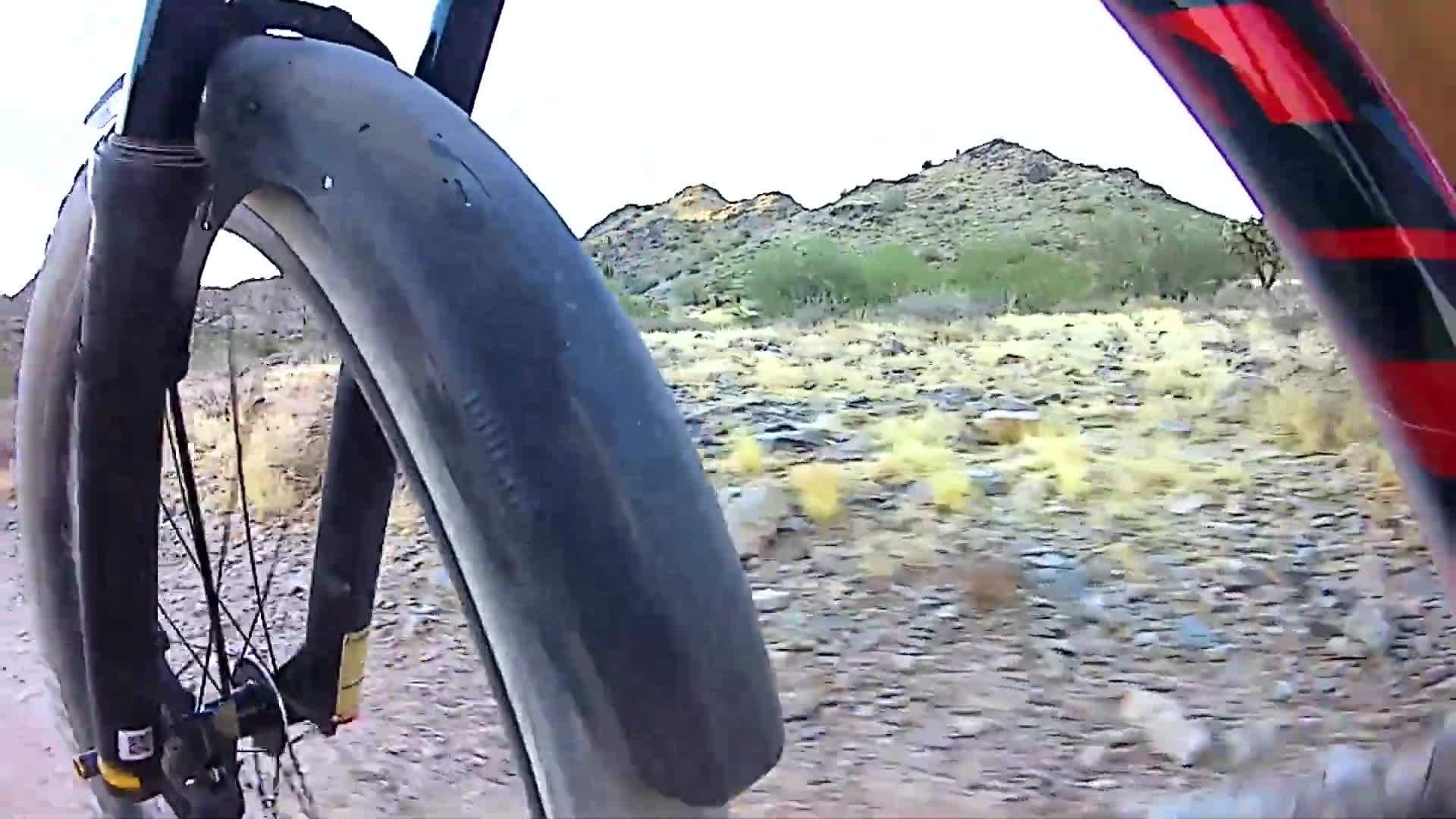 Close-up of bike tires leaving marks on a muddy trail.
