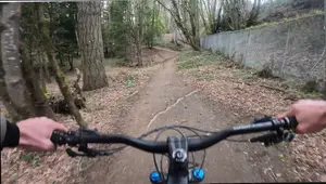 Shimano SPD vs. Crankbrothers Mallet: Clipless Pedal Showdown for Beginners