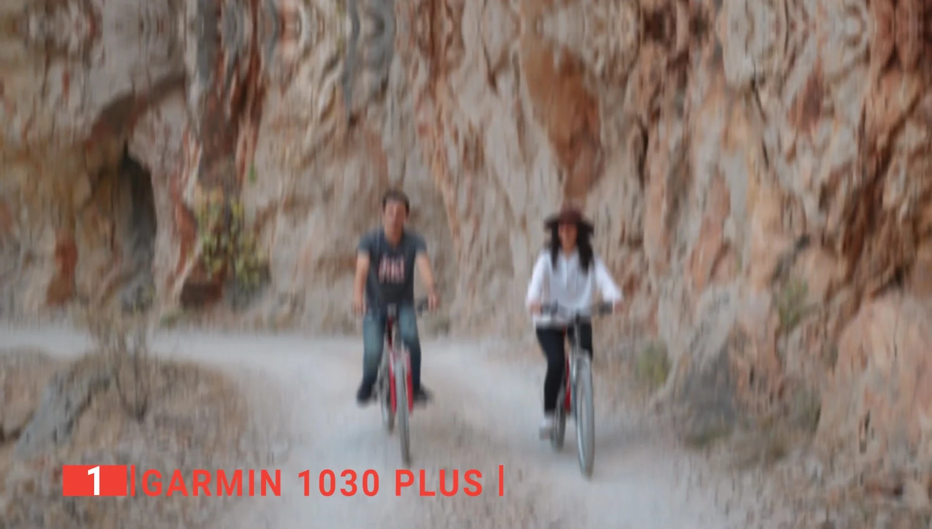 Garmin 1030 Plus display during daylight