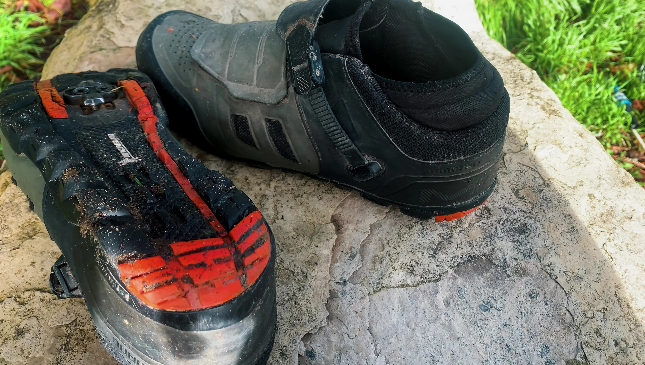 Image of the Michelin sole
