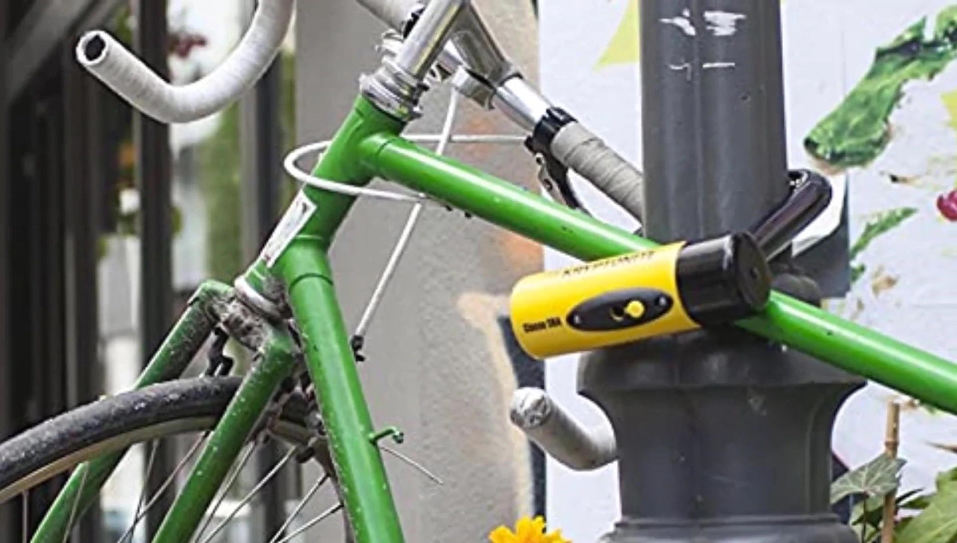 Kryptonite's anti-theft protection program information