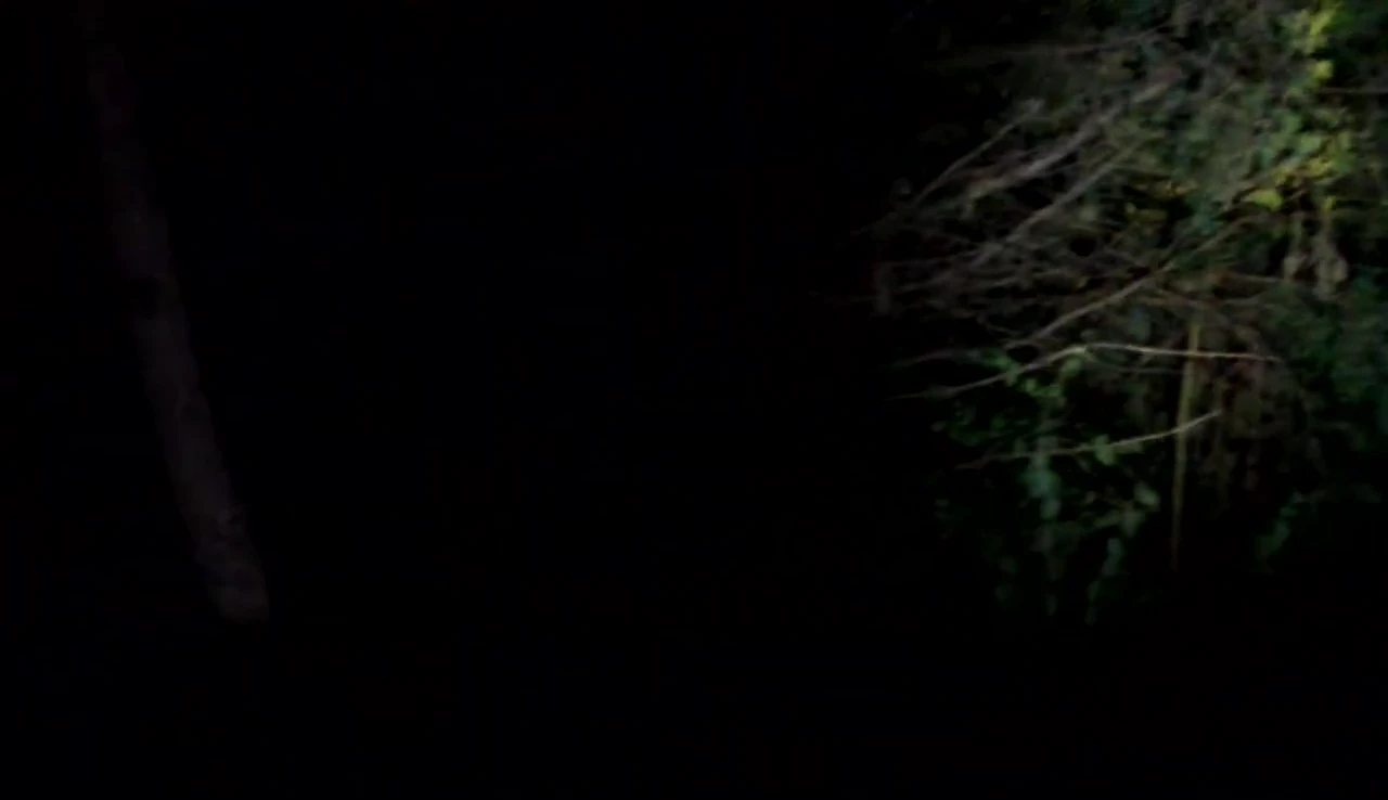 Final shot of the light