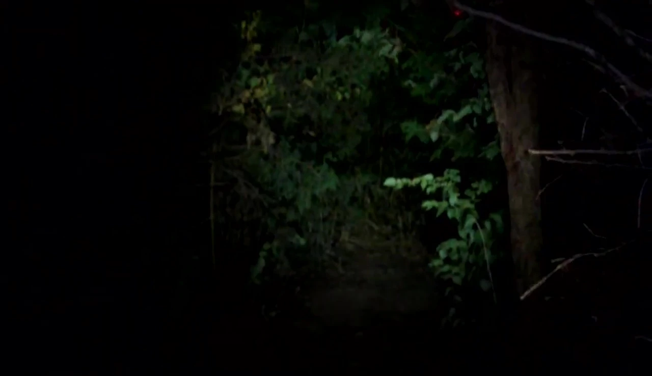 The Serfas TSL-S500 light illuminating a trail.