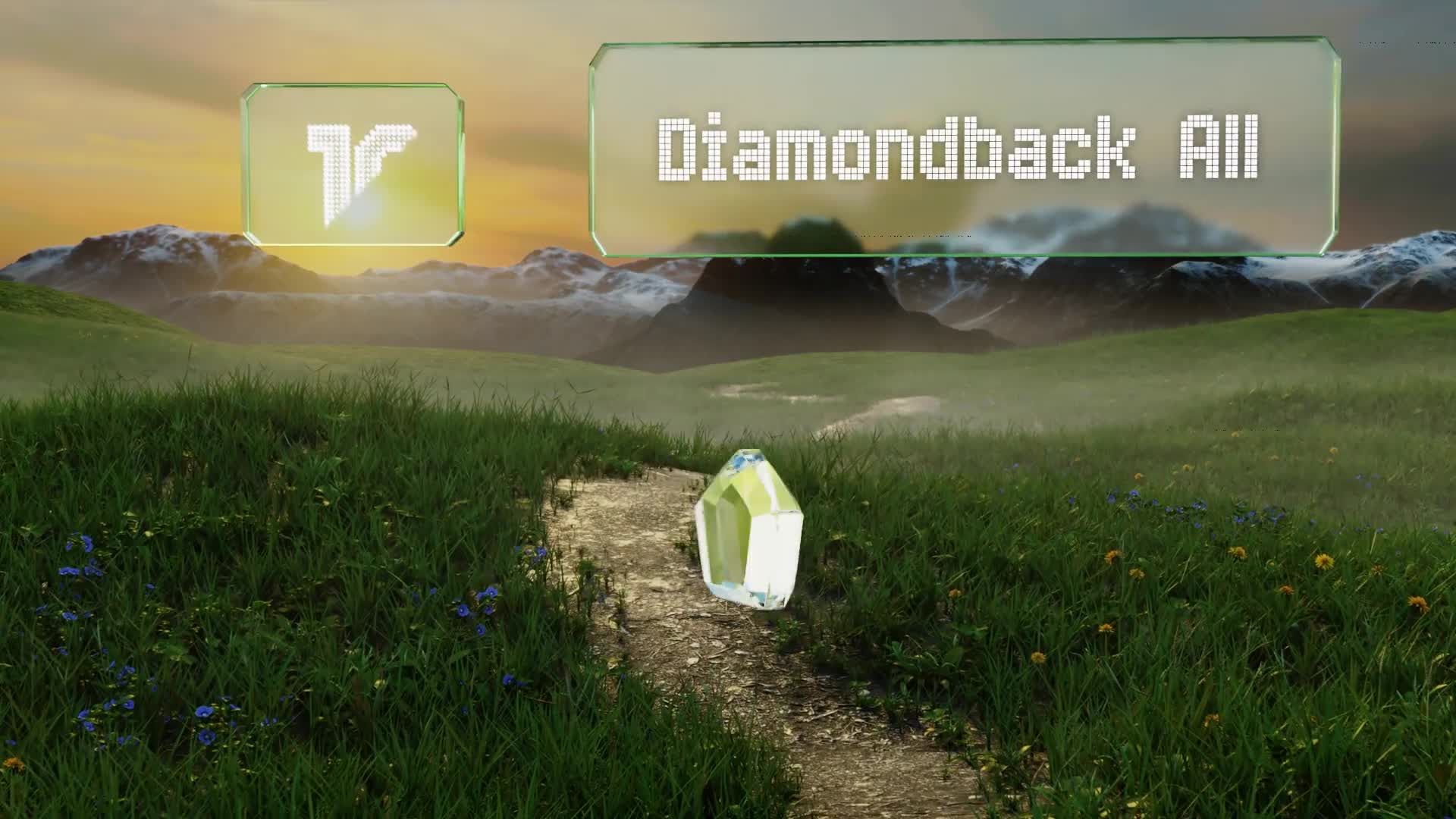 Close-up of Diamondback Alloy Resin pedals showing adjustable toe clips.