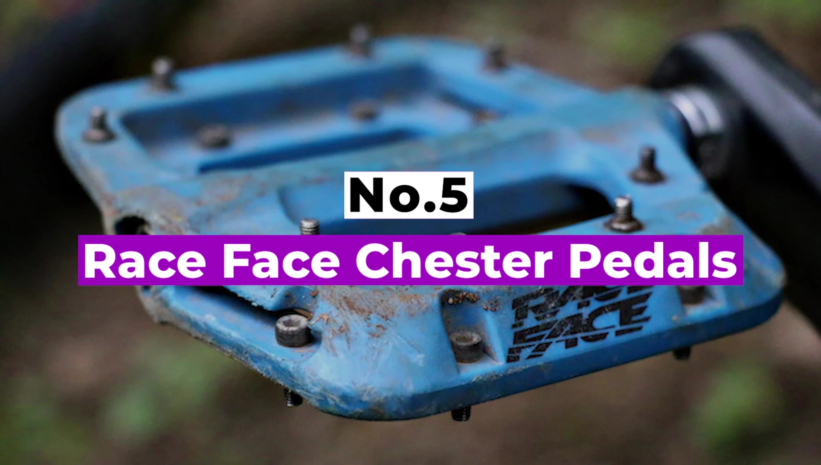 Race Face Chester pedals