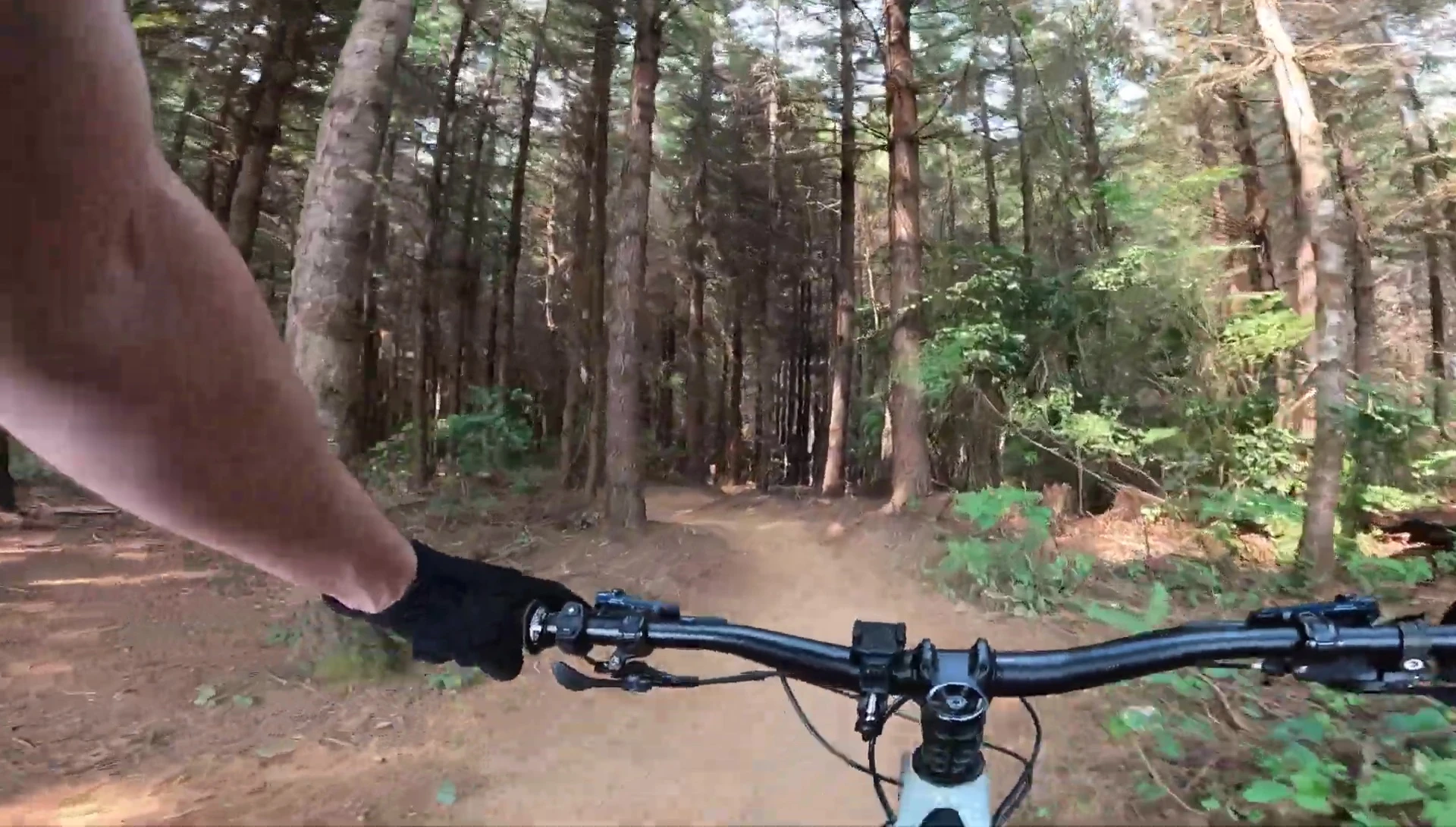 Rider wearing the gloves during a ride